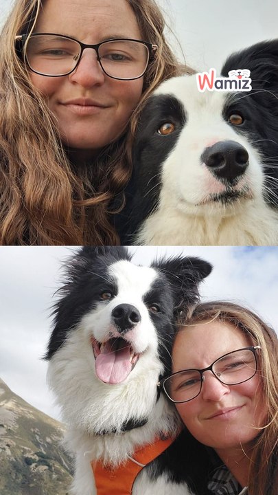 So eine tapfere Hündin! 🥰