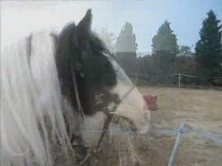 séances du 07 et 08 juin 2008