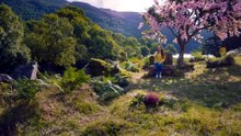 Watch Irish Wish