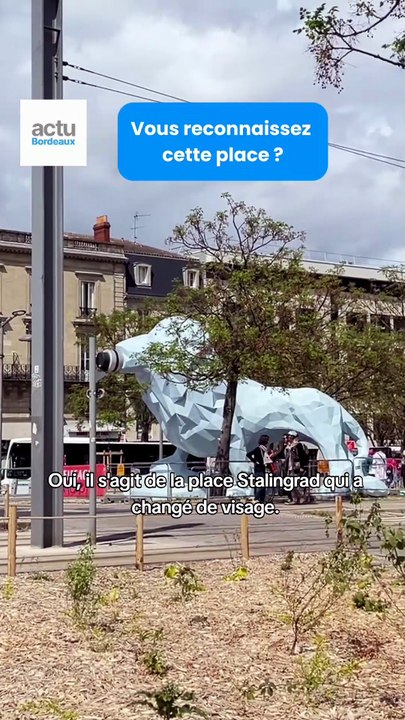 "Avant, deux arbres se battaient en duel" : à Bordeaux, la place Stalingrad a changé de visage
