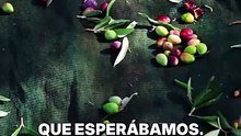 La peor cosecha pone en jaque el precio del aceite: las reservas se agotan y el precio sube