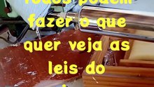 Respondendo ao DNA