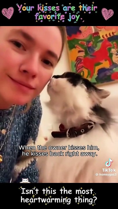 Küss mich Kätzchen