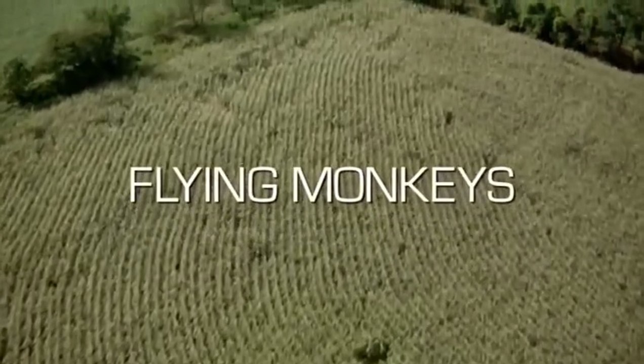 Flying Monkeys Film  Deutsch