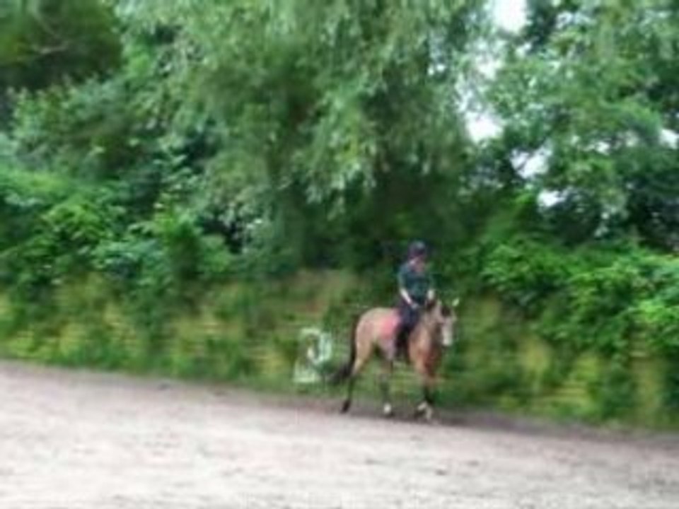 Moonlight et Astrid sur le plat 1er fois début