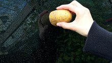 Say goodbye to foggy glass with this 🥔🙌