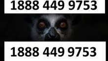 [SHIFT] Sbcglobal® TECHNICAL© SUPPoRT℗ Phone NuMber (OfficiAl)