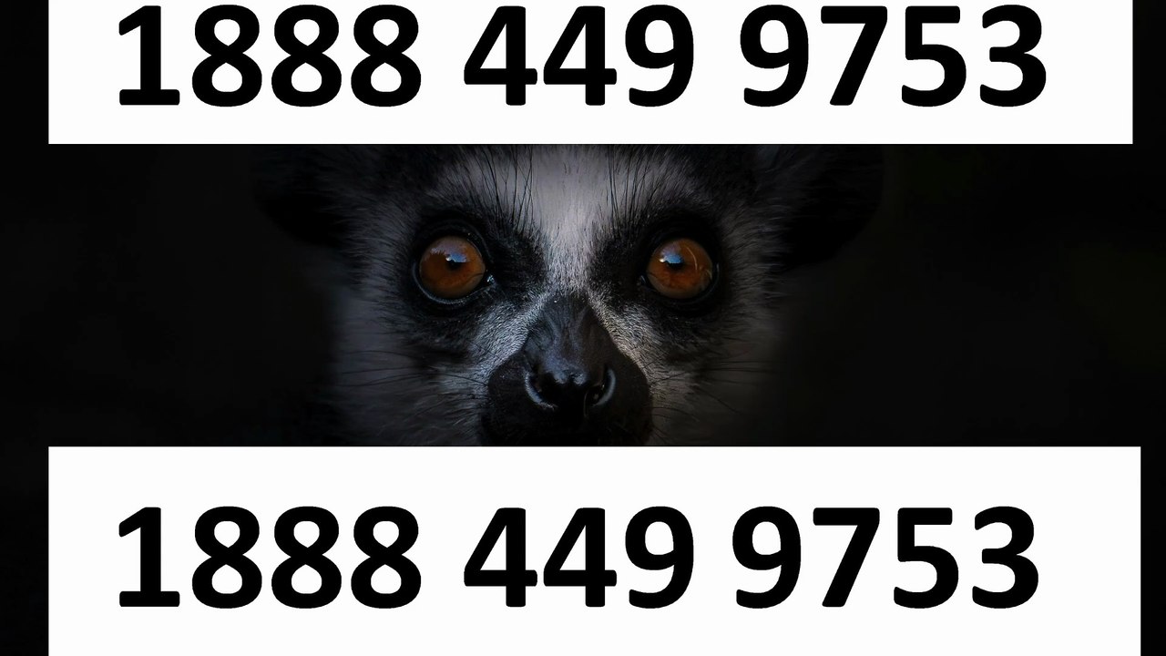 ⁂【Verified】⋉अ ⁂[ ⁂VIPRE aNtIvIrUs® TeChNiCaL© SuPpOrT® helpline® Numbers Contact⁂ (247) Live Person Care)