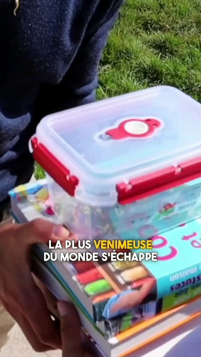 prank - l'araignée la plus mortelle du monde