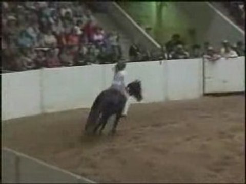 DEMO DRESSAGE CHEVAL QUE C'EST MAGNIFIQUE