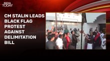 Delimitation bill triggers black flag protests in Tamil Nadu