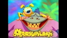 Marsupilami - Encontra o Dr. Normastein
