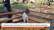 CONTROLES LARGOS Y BAJO RIESGO LOCAL QUÉ SE SABE DEL SCRAPIE EN ARGENTINA
