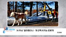 [포토오늘] 'AI 두뇌' 달아줬더니...개 산책 시키는 로봇개 / YTN