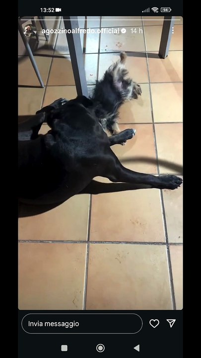 Agozzino Alfredo story con il piccolo zaky