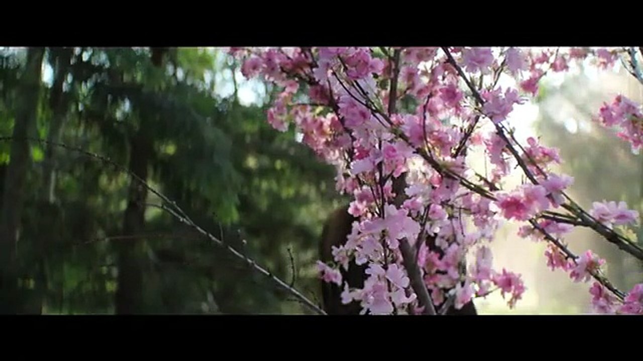 Mortal Kombat II Trailer (Deutsch)