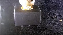 old gold in museum
