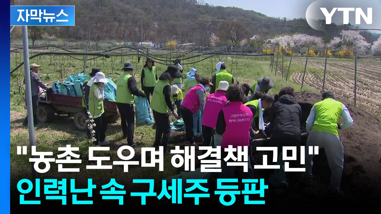 [자막뉴스] 외국인 써도 일당 '15만 원'...힘겨운 농촌에 등장한 구세주 / YTN