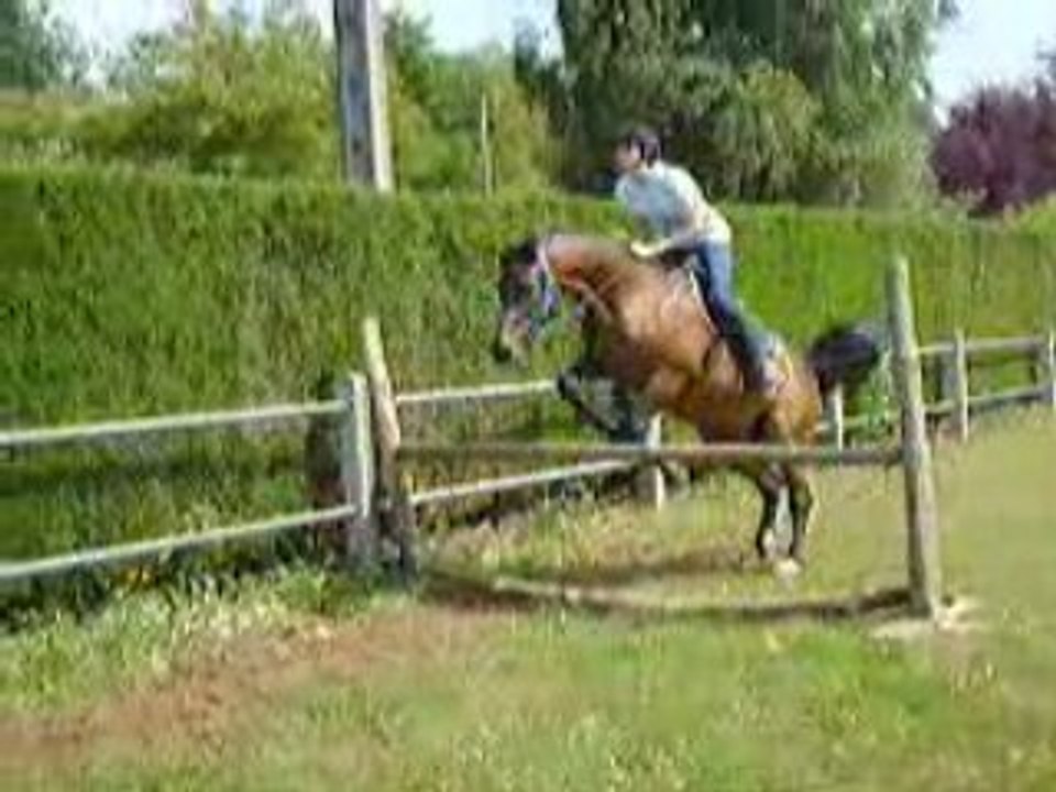 nelthus en saut