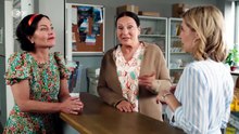Die Rosenheim-Cops (601) Staffel 25 Folge 23 - Von Bienen und Blind Dates