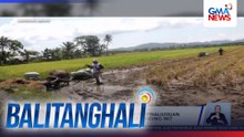 Mga kalabaw at baka, madalas na pinaliliguan at pinaiinom ng tubig dahil sa matinding init ng panahon | Balitanghali