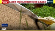 നെല്ല് സംഭരിക്കാതെ മില്ലുടമകൾ; കോട്ടയത്ത് കർഷകരുടെ 'കണ്ണീർ വിഷു'