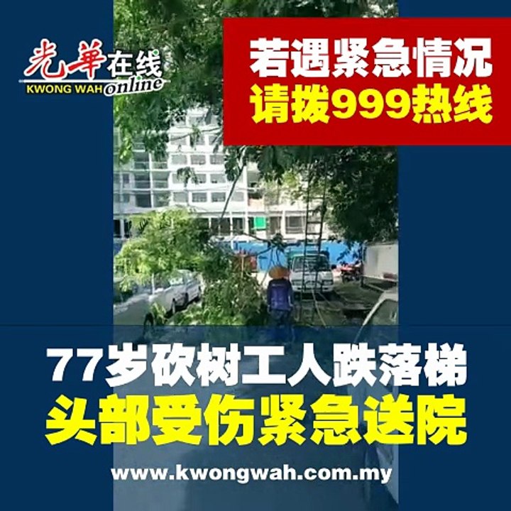 77岁砍树工人跌落梯 头部受伤紧急送院