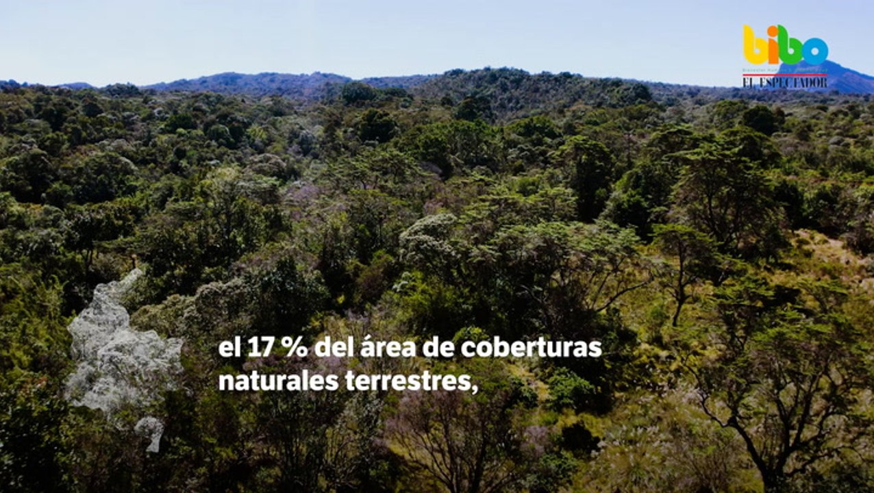 ¿Por qué es necesario proteger los Parques Nacionales Naturales?
