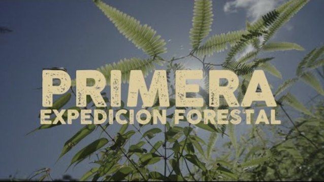 Primera expedición forestal: caminando los bosques colombianos