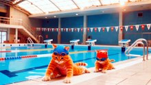 "Part 6"Pool Day Splash! 🏊‍♀️ Cute Kitten’s First Dive Adventure!