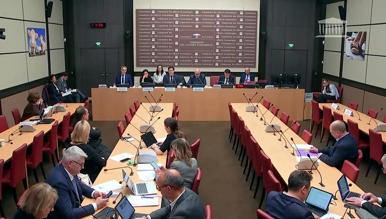 Commission des affaires économiques : Perspectives économiques des constructeurs automobile ; Filière automobile et distribution des véhicules - Mercredi 15 avril 2026