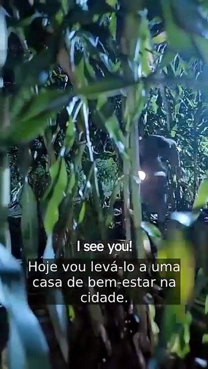 Hard, Rise High Fighting to Break Free (tradução) | Filme Completo em Português