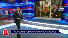 Harfuch te puede regalar muchas flores | Qué Importa