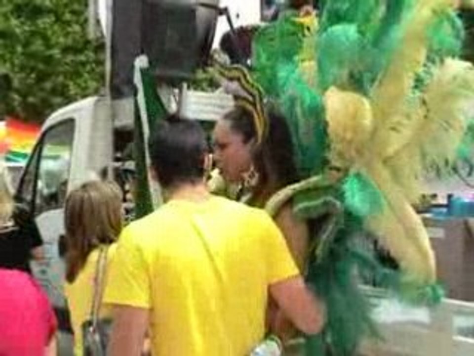 Gay pride 2008 montpellier