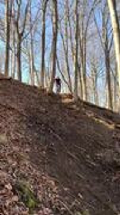 Biker Crashes Into Tree While Descending Rough Terrain