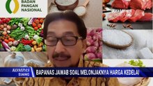 [FULL] Respons Bapanas soal Melonjaknya Harga Kedelai, Apa Penyebabnya?