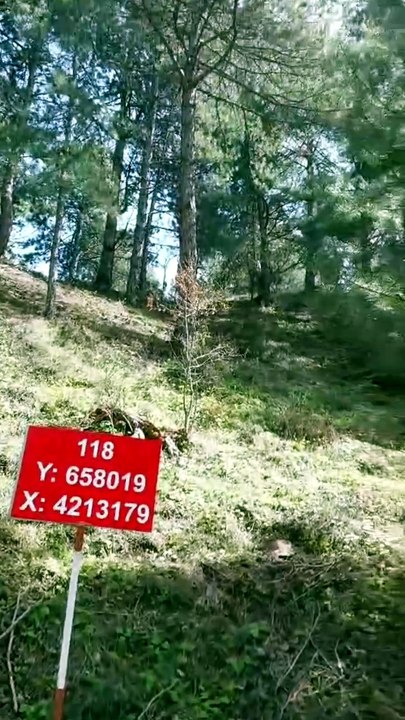 KAMYONLARLA CEVHER TAŞINIYOR