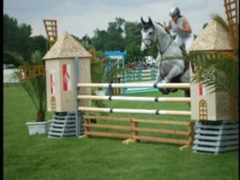 CSO régional Fontenay le Comte 31 mai 2008