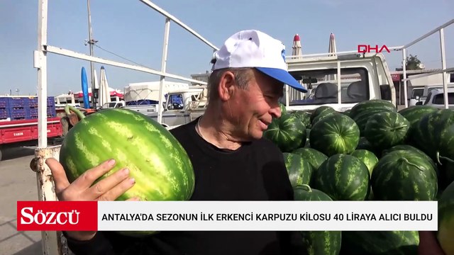 Antalya'da sezonun ilk erkenci karpuzu kilosu 40 liraya alıcı buldu