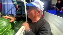 Antalya'da sezonun ilk karpuz hasadı, kilosu 40 liradan satılıyor