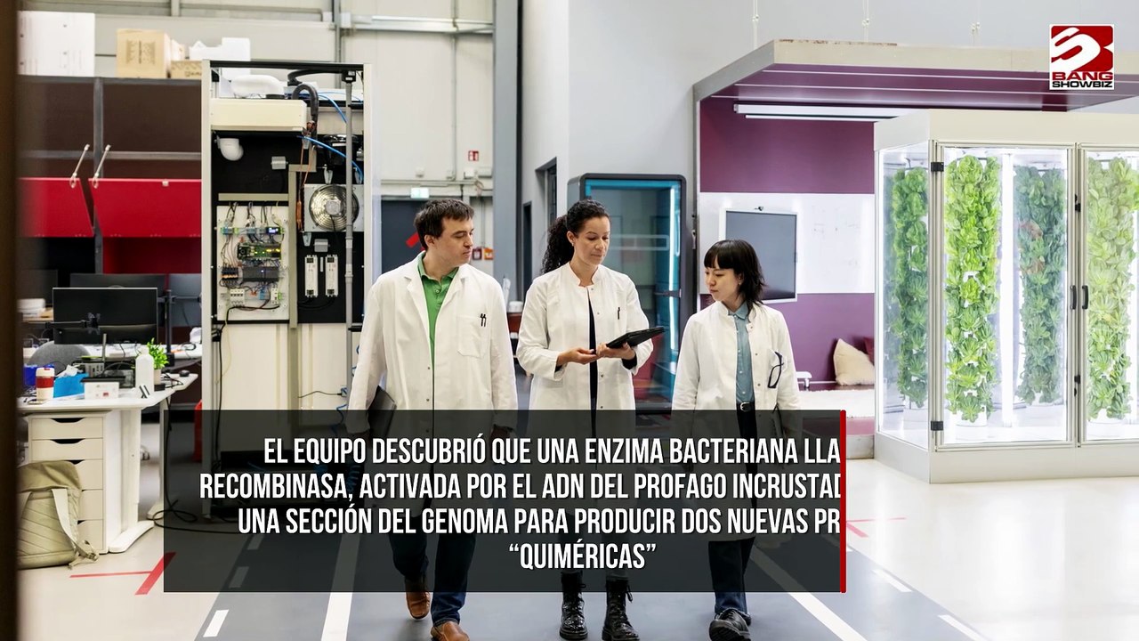 Científicos descubren bacterias antiguas que podrían ayudar a detener los virus modernos