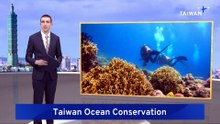 Taiwan Conservationists Urge Government To Expand Protections for Reef Fish