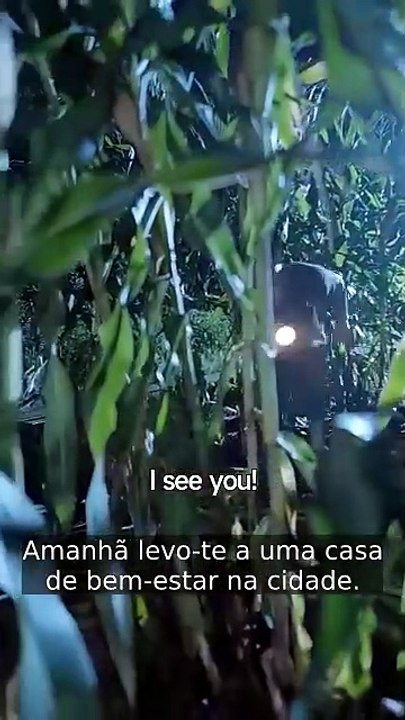 Hard, Rise High Fighting to Break Free (tradução) | Filme Completo em Português