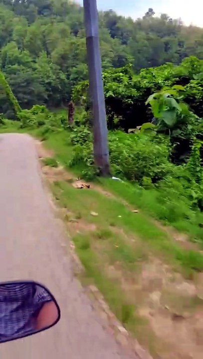 Exploring the Bandarban's Mountain with Bike 01