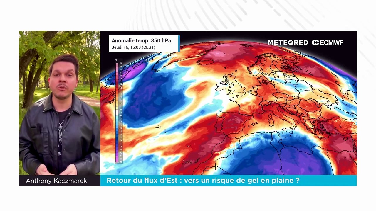 Retour du flux d'Est : vers un risque de gel en plaine ?