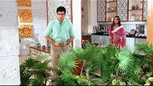 Kushi & Arnav _ S01 _ 016