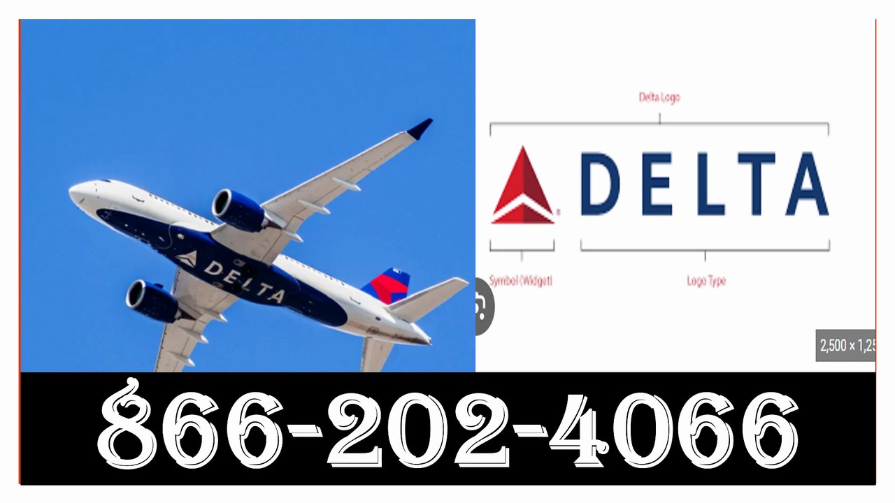 How Much Delta Airlines Baggage Fees