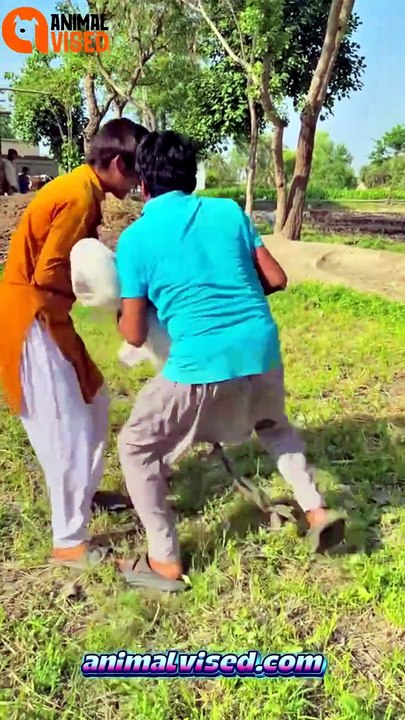 Wait for the End Twist 🤣😂 | Unexpected Funny Moment