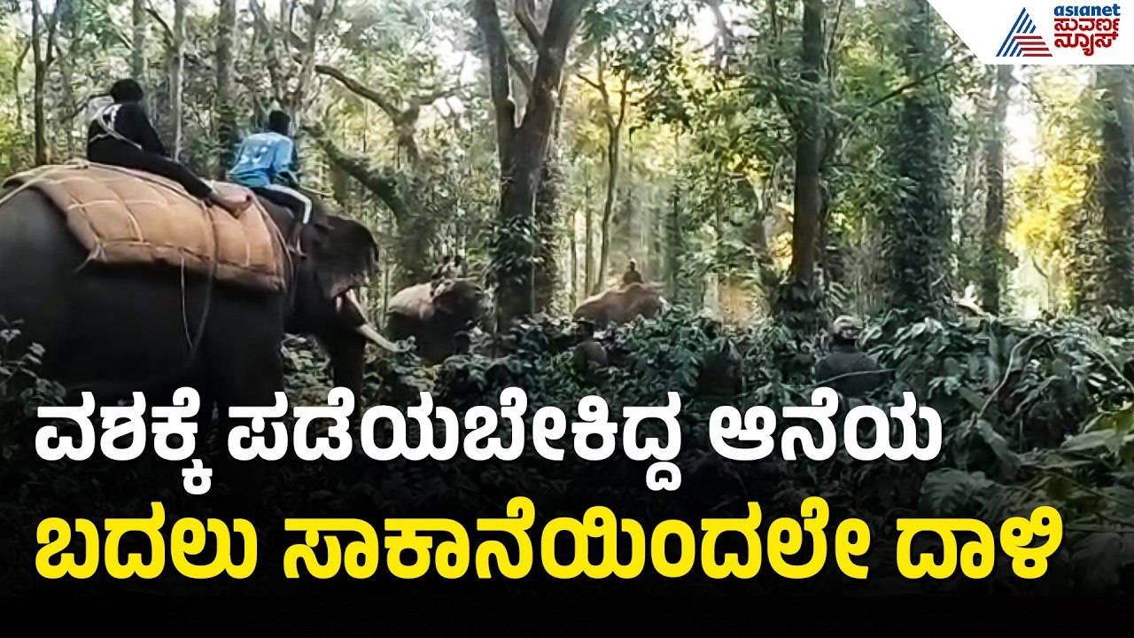ಹಾಸನದಲ್ಲಿ ಸಾಕಾನೆ ಸುಗ್ರೀವನ ದಾಳಿಗೆ ಕಾವಾಡಿಗ ಗಂಭೀರ | Hassan Sugreeva Elephant Attack | Suvarna News