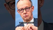 Friedrich Merz: "Hassen Sie die Deutschen so sehr?" Kanzler-Video löst Wut aus